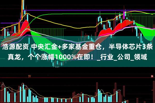 浩源配资 中央汇金+多家基金重仓，半导体芯片3条真龙，个个涨幅1000%在即！_行业_公司_领域