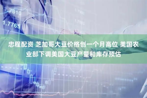 忠程配资 芝加哥大豆价格创一个月高位 美国农业部下调美国大豆产量和库存预估