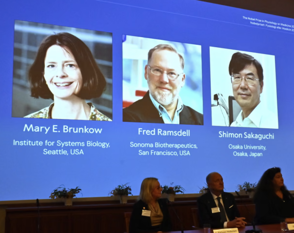 股王配资 在山里露营的诺奖得主，联系上了！